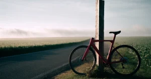 Radsport-Wetten online: Schutzregeln, Märkte und Marge